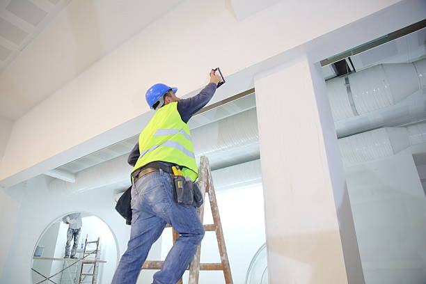 Best Drywall Patching  in Albion, IN